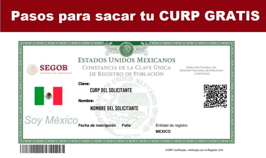 Obtén Tu CURP en Línea de Forma Rápida y Gratuita